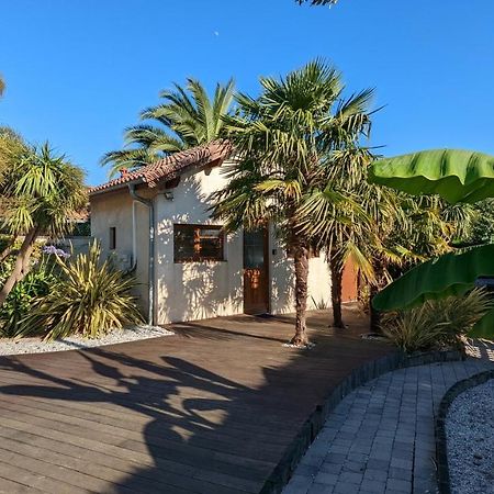 Guest House Au Milieu Des Palmiers Saint-Martin-de-Seignanx Esterno foto